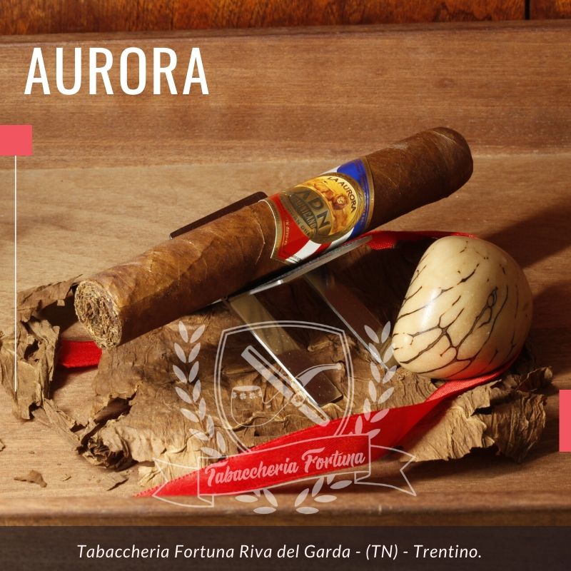 Aurora ADN Toro. Un aristocratico ed autentico piccolo capolavoro di cui ne percepisco la qualità fin dall’accensione dove le fragranze animali di pelle, abilmente miscelate