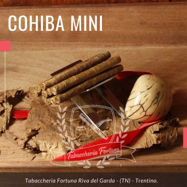 I Cohiba Mini 10 sono il frutto di una selezione curatissima delle cinque migliori Vegas Finas di Vuelta Abajo.