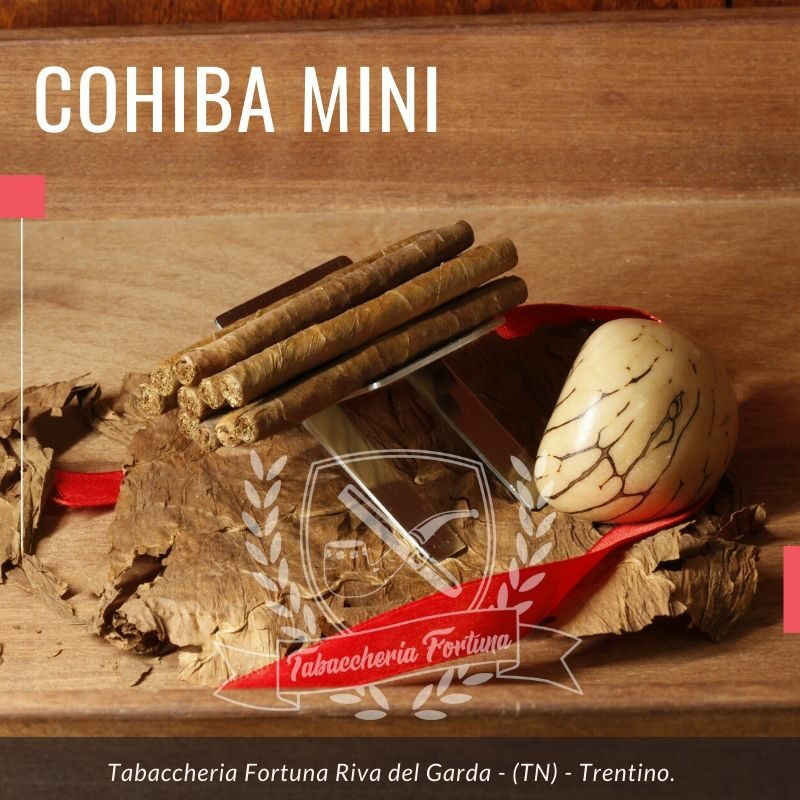 I Cohiba Mini 10 sono il frutto di una selezione curatissima delle cinque migliori Vegas Finas di Vuelta Abajo.