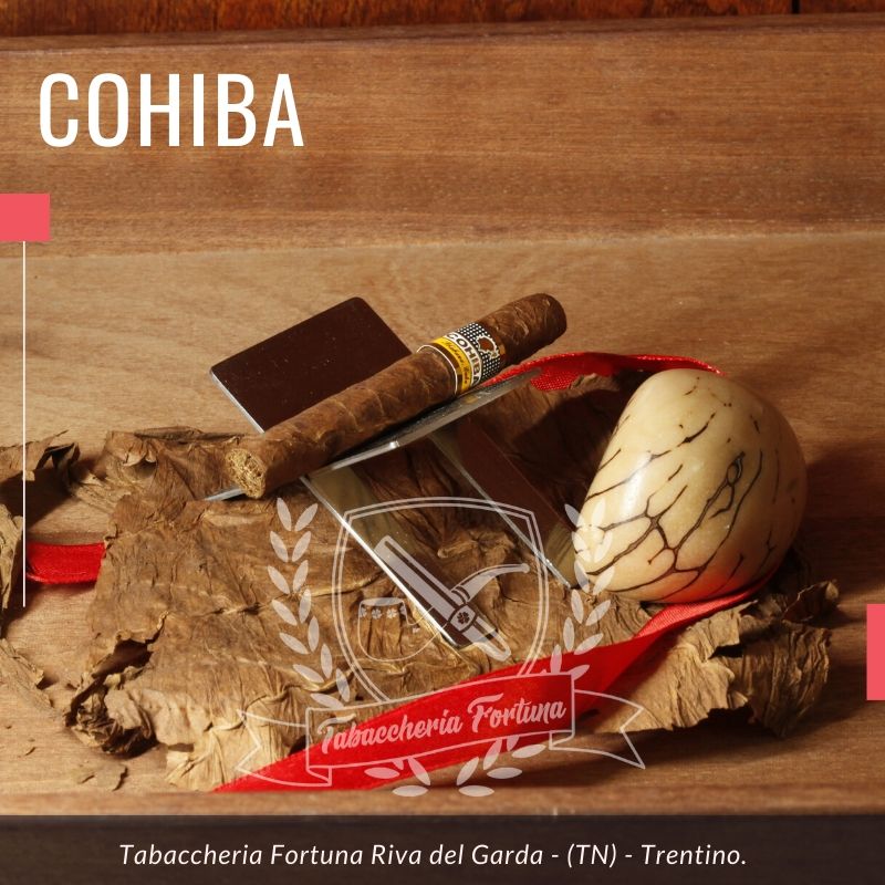 Cohiba Short è sinonimo di sofisticato, esclusivo, lussuoso e trendy.