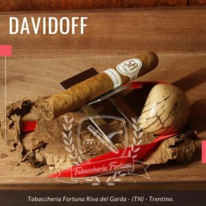 Davidoff 702 Signature 2000 La serie 702 è una rivisitazione dei sigari più iconici di davidoff, come il No. 2, il 2000, lo Special R, l’Aniversario No. 3, ecc