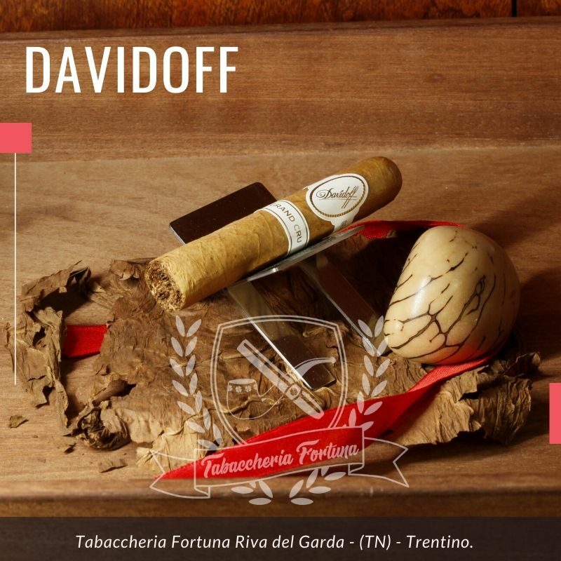 Il Davidoff Grand Cru no. 5 è un sigaro per tutti, semplice e amabile fino alla fine della combustione...