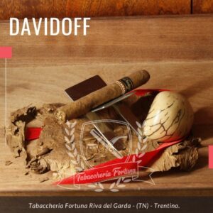 I Davidoff Primeros Nicaragua hanno lo stesso livello di raffinatezza e intensa stimolazione dei sigari Nicaragua originali di Davidoff.