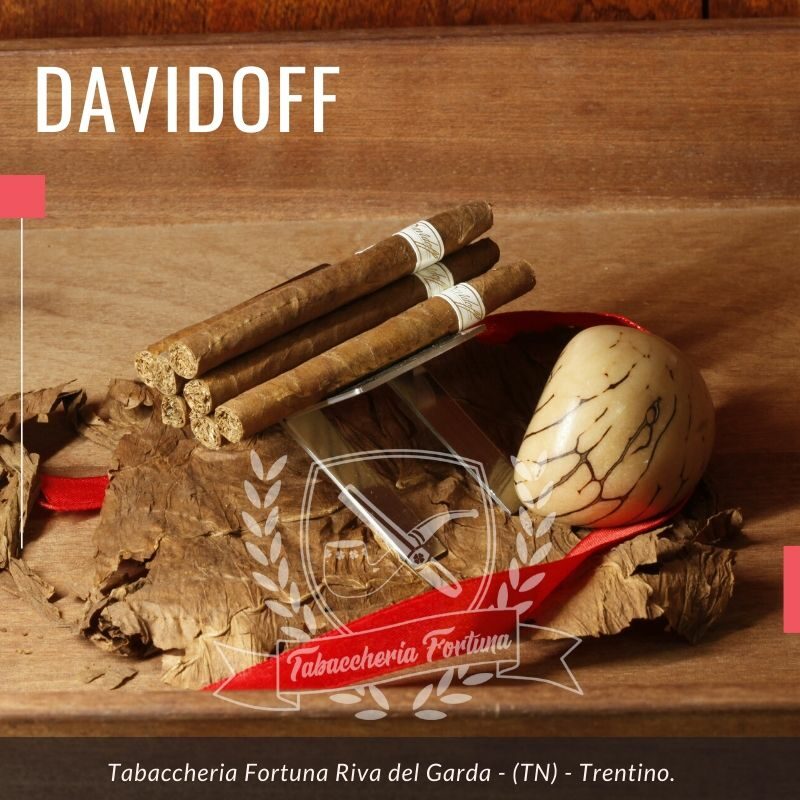 Davidoff Signature Esquisito. È importante notare che la linea Davidoff Signature era una volta conosciuta come la linea Davidoff Thousand