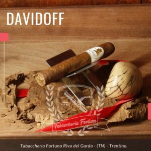 Il Davidoff Winston Churchill Corona è un sigaro dominicano che presenta un cepo di 41 e una lunghezza di 115mm