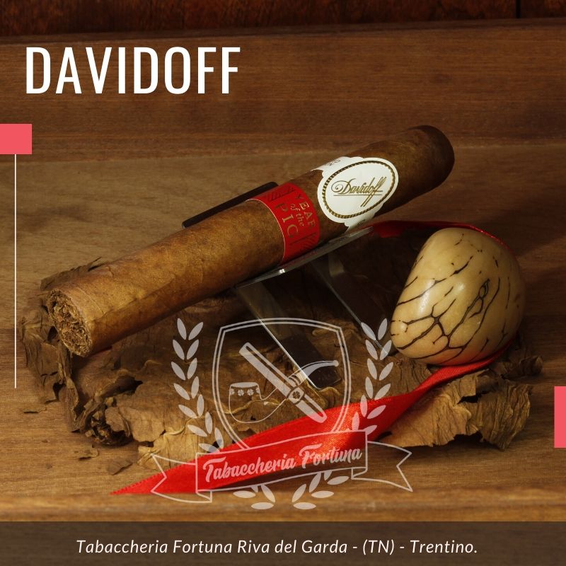 Complessivamente, il Davidoff Year of the Pig è dotato di una paletta aromatica strutturata e profonda