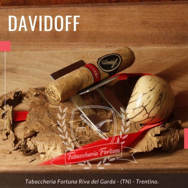 Davidoff Yamasa Petit Churchill, è un sigaro meraviglioso che si propone agli appassionati con un aspetto invitante in termini di colore, lucentezza e oleosità.