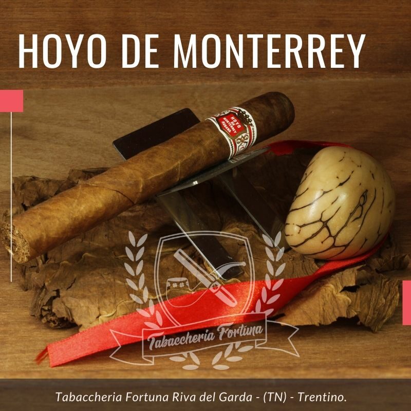 Ad una prima analisi, questo Hoyo de Monterrey Palmas Extra, si presenta con una capa ben tesa, ruvida, con leggere venature, color colorado.