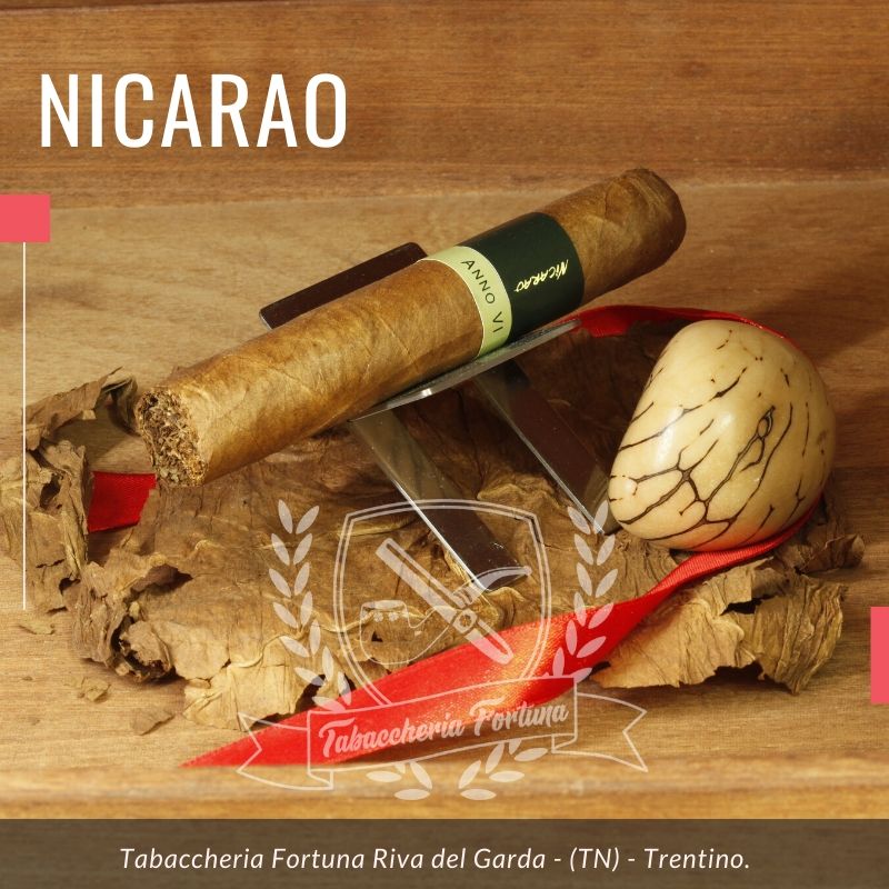 Il Nicarao Exclusivo Robusto non è un sigaro per tutti. E’ complesso, Robusto di nome e di fatto. Se volete provarlo, deve piacervi questa linea e il mondo nicaraguense altrimenti rischiate di non apprezzarlo. E’ senza dubbio un gran sigaro.