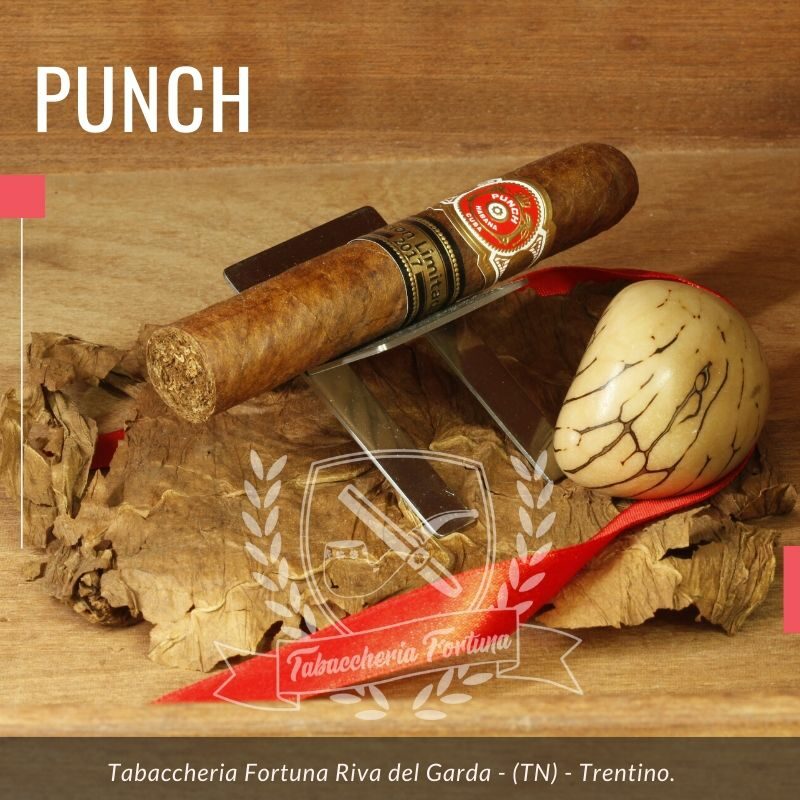 Punch Regios de Punch 2017: a crudo sentori di legno stagionato. L’apertura porta al palato un mix di note vegetali e spezie.