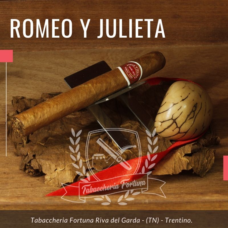 Romeo y Jilieta Tobos N. 1 è un pratico tubos in uno dei formati piu` classici della gamma cubana; nonostante la dimensione lo possiamo tranquillamente consigliare a tutti i meno esperti.