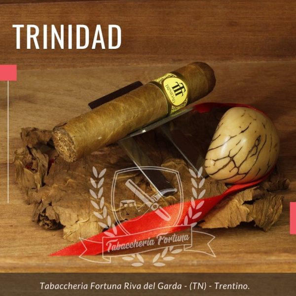 Il Sigaro Trinidad Vigia è riuscito a soddisfare la maggior parte dei fumatori in tutto il mondo