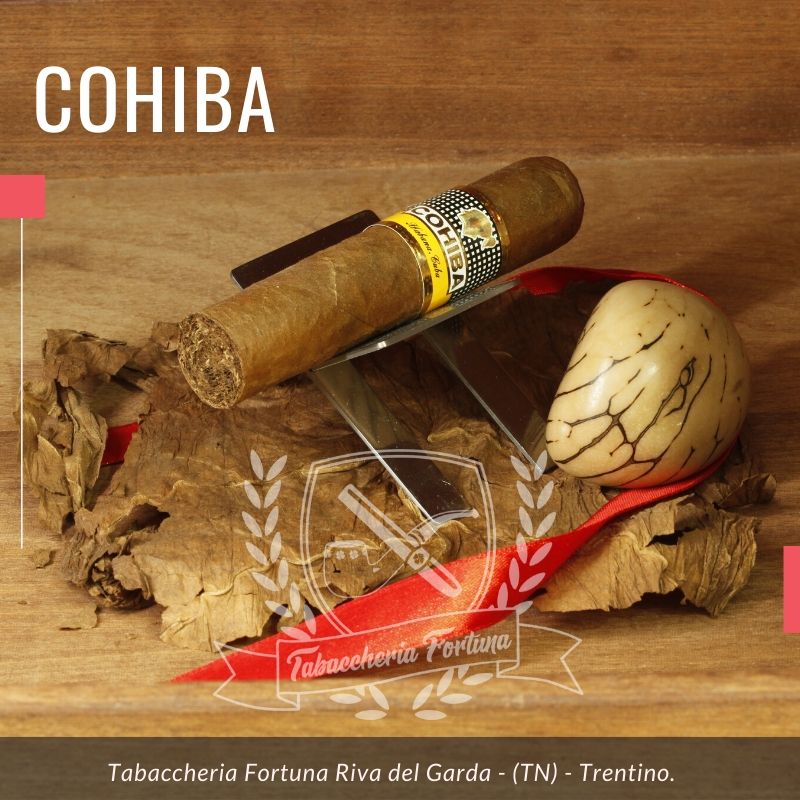 Il Cohiba Medio Siglo, diventa il primo nuovo sigaro ad ampliare la Linea 1492 dopo il Siglo VI lanciato nel 2002