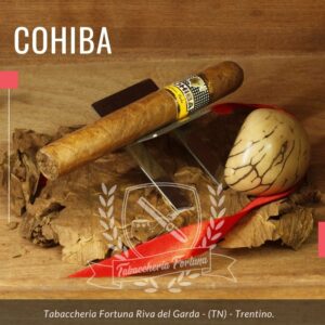 Cohiba siglo II A crudo arrivano sentori di Cacao e legno.