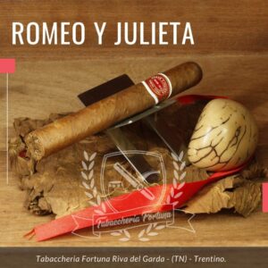 Sigaro Romeo y Julieta Mille Fleurs. La ligada è tipica di Romeo y Julieta e vale la pena ricordare che, in questo formato, questo è uno dei sigari più apprezzati sui mercati di tutto il mondo