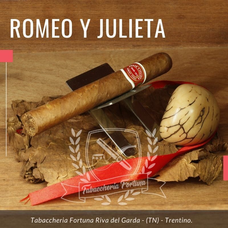 Sigaro Romeo y Julieta Mille Fleurs. La ligada è tipica di Romeo y Julieta e vale la pena ricordare che, in questo formato, questo è uno dei sigari più apprezzati sui mercati di tutto il mondo