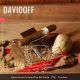 I Davidoff Primeros Dominican Maduro offrono una combinazione di note di legno, dolci e morbide, tipici di tutti i sigari Davidoff.