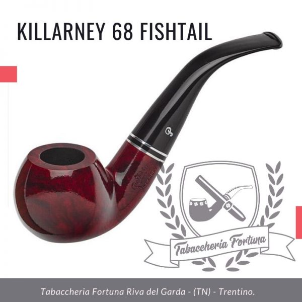 Killarney 03 Fishtail. Una forma di mela piegata compatta e arrotondata. 